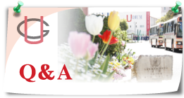Q&A