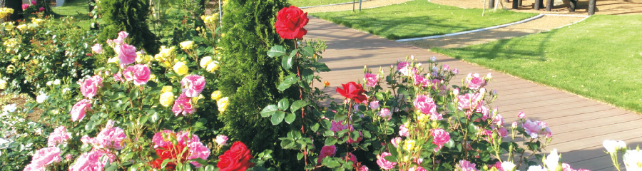 u‰YŠw‚Ó‚Ÿ‚Ý‚è`vt‚̃Cƒ[ƒW