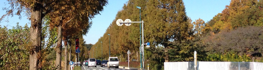 u‰YŠw‚Ó‚Ÿ‚Ý‚è`vH‚̃Cƒ[ƒW