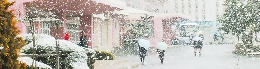 u‰YŠw‚Ó‚Ÿ‚Ý‚è`v“~‚̃Cƒ[ƒW